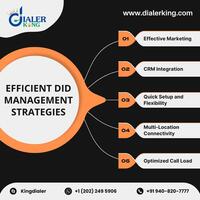 Mastering Efficient DID Management: Unleash Success