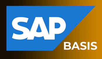 Sap BASIS Online Training by VISWA Online Trainings - USA | UK | India | Canada