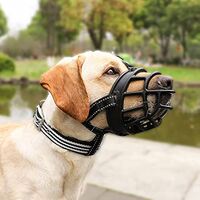 Best Dog Muzzles Australia | Soft Dog Muzzle for Comfort and Safety