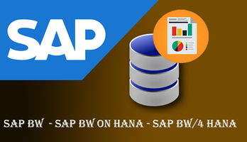 SAP BW On HanaOnline Training Viswa Online Coaching Course In Hyderabad