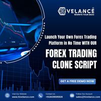 Create a Feature-Rich Forex Trading Platform Effortlessly