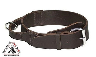 Dog Collars Australia | Prong Collars, Leather Collars & Dog Collar with Handle