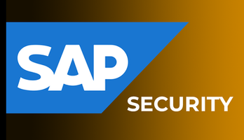 SAP Security Online Training & Certification From India