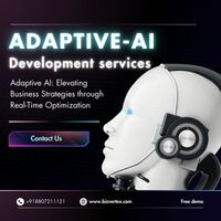 Adaptive AI: Paving the Way for Smarter Business Decisions