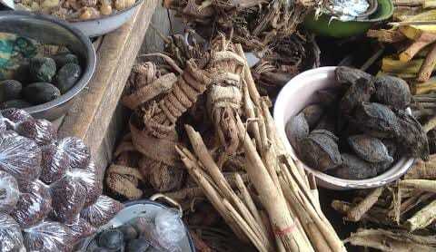 Klerksdorp ]➸  +27764410726 ➸]” A TRADITIONAL HEALER / SANGOMA In Bloemhof, Brits, Chistiana, Fochville, GaRankuwa, Koster, Letsopa, Mabopane, mmabatho, Orkney, South africa ,Potchefstroom, Reivelo, Rustenburg, Schweizer Reneke, Ventersdorp, Vryburg, zeer