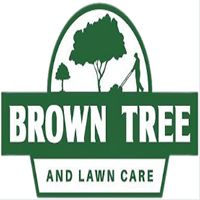 Brown Tree and Lawn Care