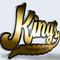 Kings Seedbank