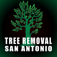 Tree Removal San Antonio