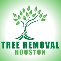 Tree Removal Houston 247