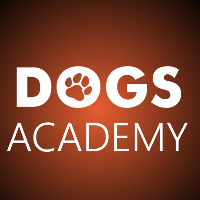 Dogs Academy