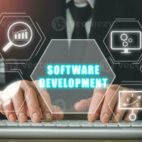 Remote Software Developer Provider Company