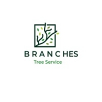 Branches Tree Service Sydney