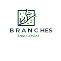 Branches Tree Service  Ma