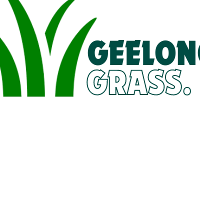 Geelong Artificial Grass