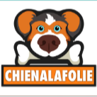 chienalafolie