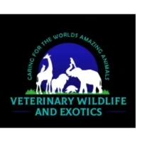 Veterinary Wildlife and Exotics