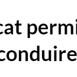 Avocat Permis de conduire