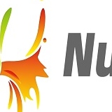 Numeralart Paint by Number