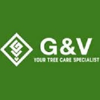 Verde Valley Classifieds G & V Tree Service, Inc. in Springfield VA