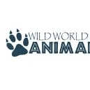 Wild World of Animals